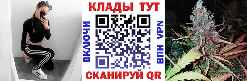 Где купить Новоузенск Cocaine Галлюциногенные грибы АМФ Конопля Гашиш Меф