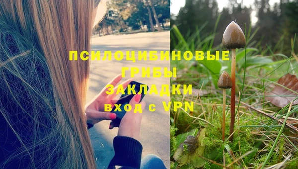 ECSTASY Михайловка