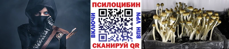 Галлюциногенные грибы ЛСД Новоузенск