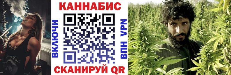 Каннабис OG Kush  купить  сайты  MEGA tor  Новоузенск 